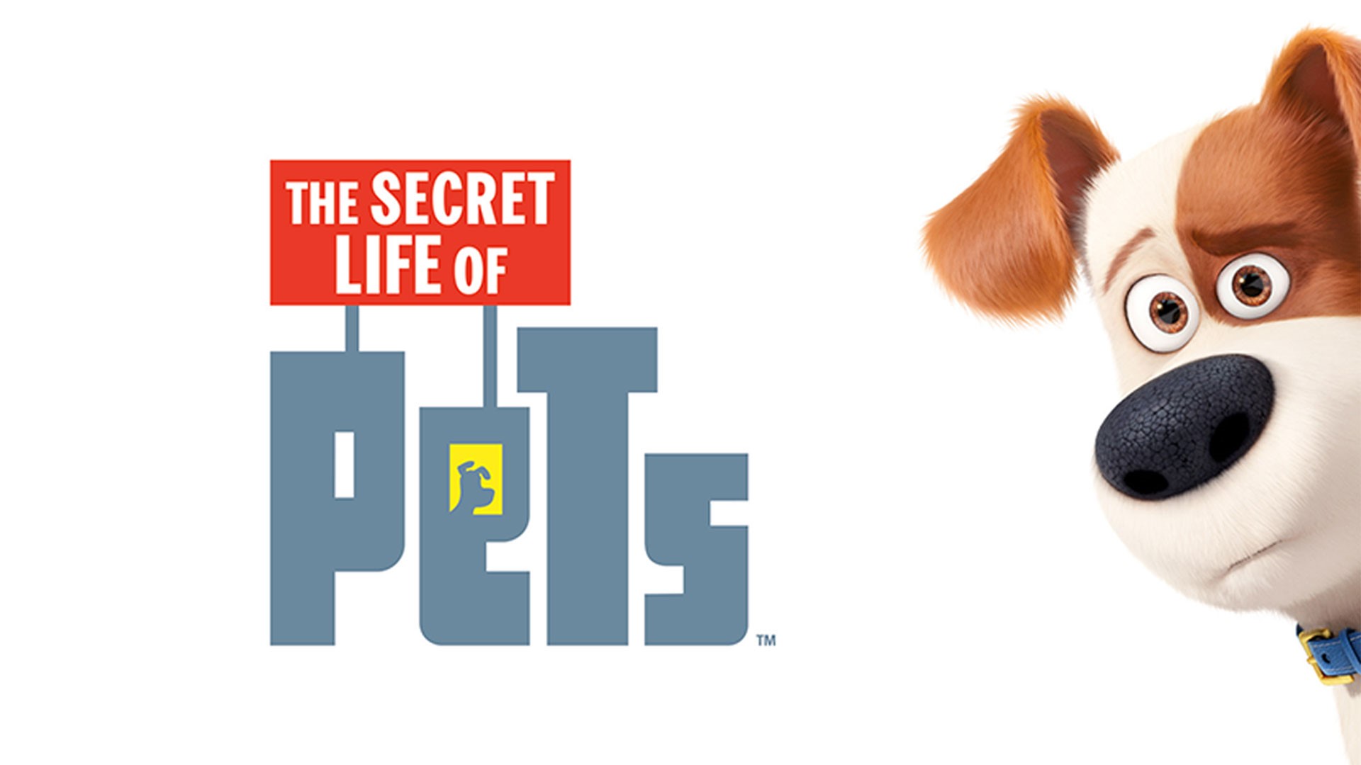 Pets: A Vida Secreta dos Bichos 2