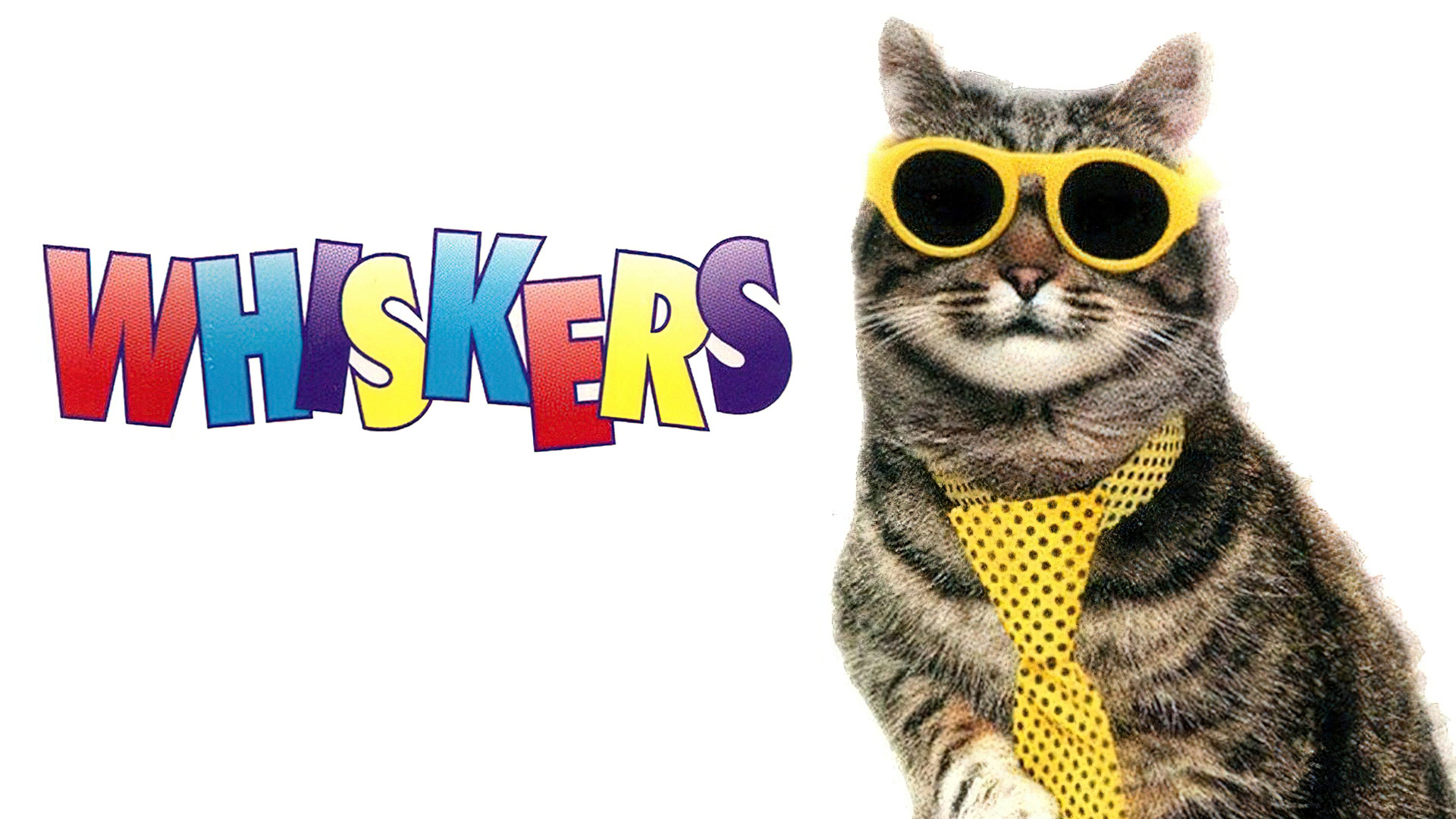 Whiskers: O Gato que Virou Gente